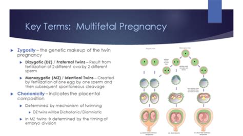 Obstetrics Flashcards Quizlet