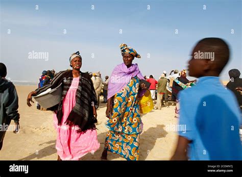 Senegal Kayar Fish Harbour Biggest Fish Harbour In Senegal Stock