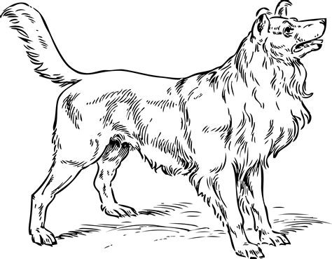 big dog #3321397 | Clipart Library