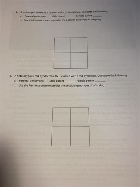 Solved Sex Linked Inheritance In Drosophila Use The Chegg