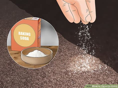 How to Clean Up Vomit: 12 Steps (with Pictures) - wikiHow