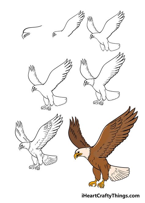 How To Draw An Eagle Step By Step Guide