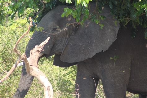 [TRAVEL]: 5 Nights In Zambia - November 2020 | The Glam Green Girl