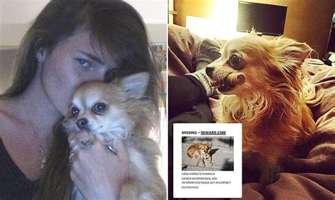 Annabel Fenwick Elliott Reveals How Her Dog Was Kidnapped From Her