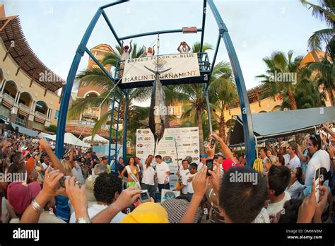 Marlin tournament cabo san lucas hi-res stock photography and images
