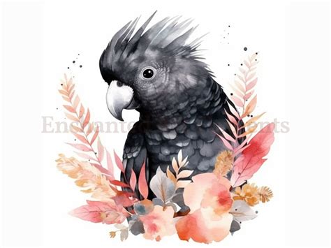 6 Watercolor Black Cockatoo Illustration Nursery Art - Etsy