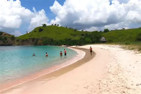 Mengintip Pantai Pink Taman Nasional Komodo Surga Wisata Indonesia