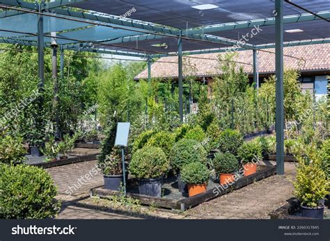 home garden store   images shutterstock