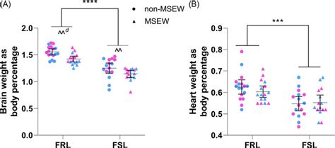 The Effects Of Maternal Separation And Early Weaning On Anatomical