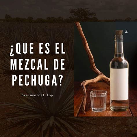 Mezcal de Pechuga Qué es y cómo se hace