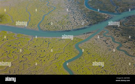 Aerial View On Marshlands Bahia De Cadiz Natural Park Costa De La Luz