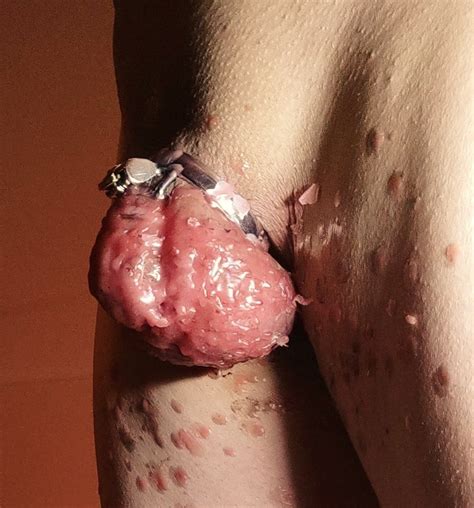 Cbt Destroying A Caged Sissy Clit With Hot Wax Pics Xhamster