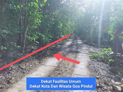 tanah murah luas  kawasan wisata goa pindul gunung kidu tribun