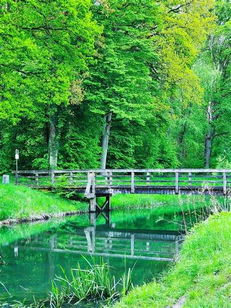 trees landscape woods  photo  pixabay