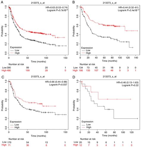 Prognostic Significance Of Mrna Expression Of Casps In Gastric Cancer