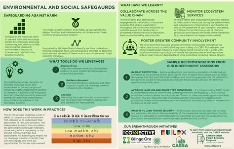 Safeguarding Against Harm In Climate Smart Forestry