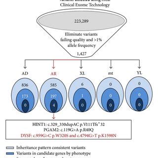 Whole Exome Sequencing analysis. Whole Exome Sequencing was completed ...