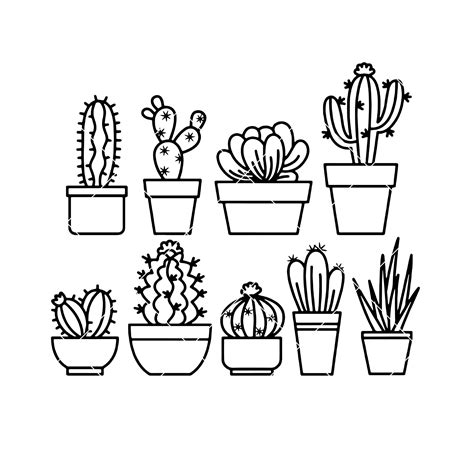 Plants Svg Clipart Cutting File For Cricut And Silhouette Svg Succulent