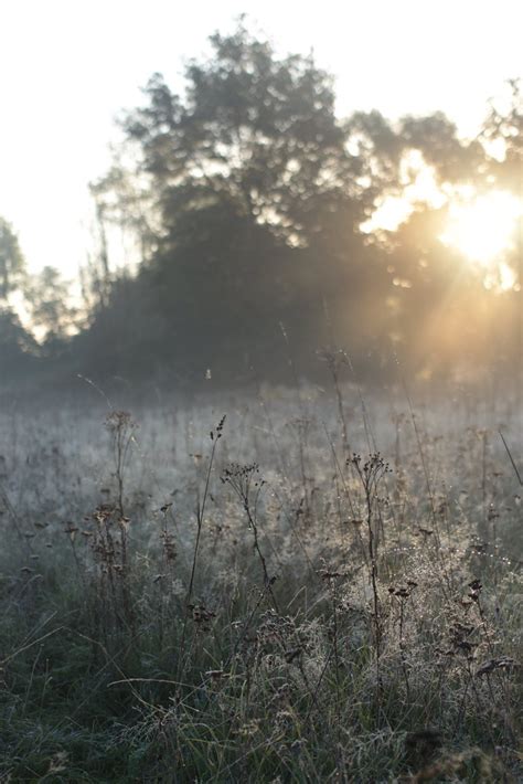 Zonsopgang C Ann Sels Regionaal Landschap Schelde Durme Flickr