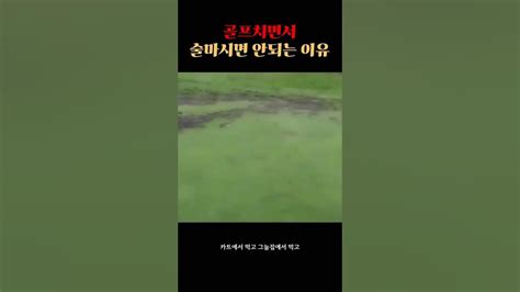 골프치면서 술 마시면 안되는 이유 Youtube