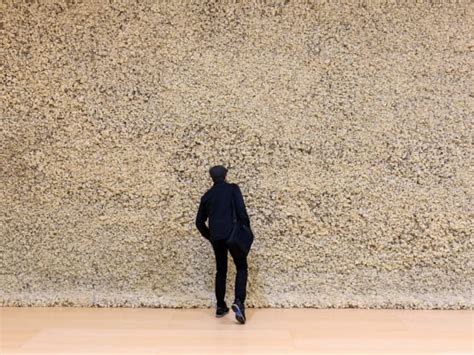 Moss Wall • Artwork • Studio Olafur Eliasson