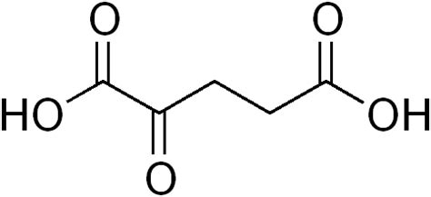 Alpha-Ketoglutarat