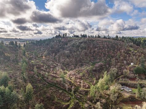 Property Next to Hanneman Lane in Turner, Oregon