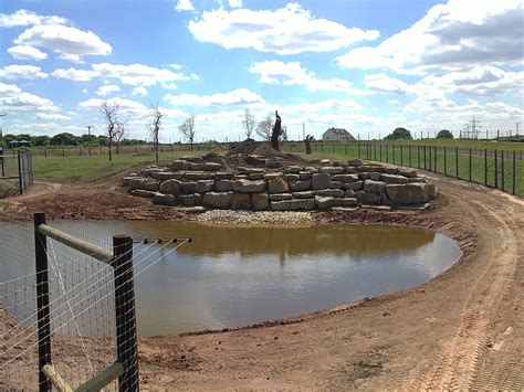 Lion Enclosure Zoochat