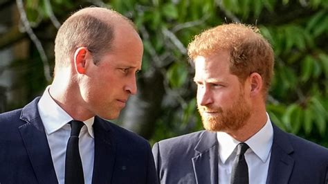 Prince William rejects Harry’s peace talks offer with shocking strategy ...