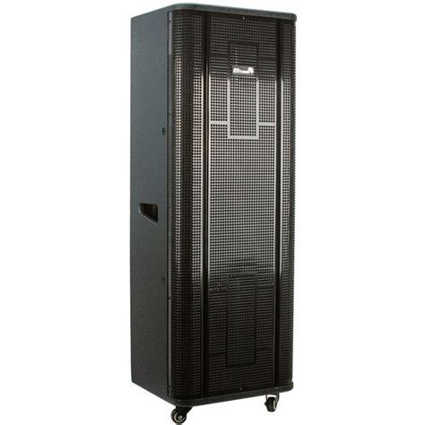 Беспроводная колонка Eltronic 20-36 PRO - купить по доступным ценам в ...