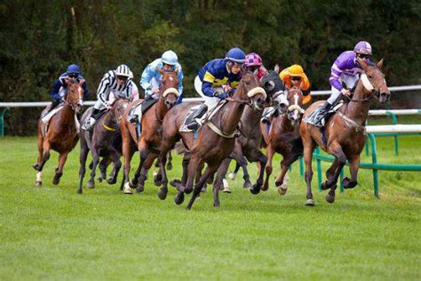 Le Diverse Discipline Dell Equitazione Lo Sport A Cavallo