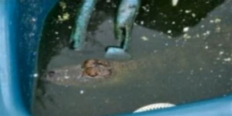 Hot Tub Sex Positions Acsbr Nccsea