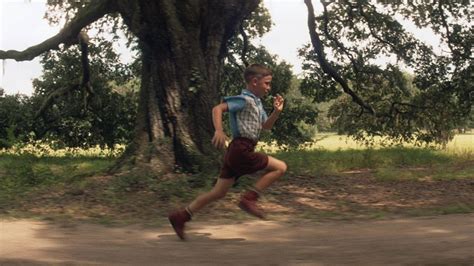 100 Forrest Gump Wallpapers