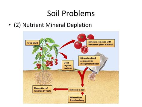 soils chemistry  problems powerpoint