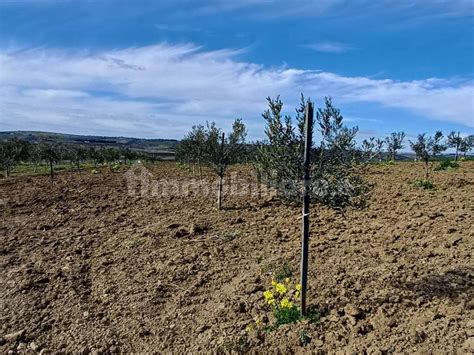 Terreno Agricolo Contrada Maragani Sciacca Rif