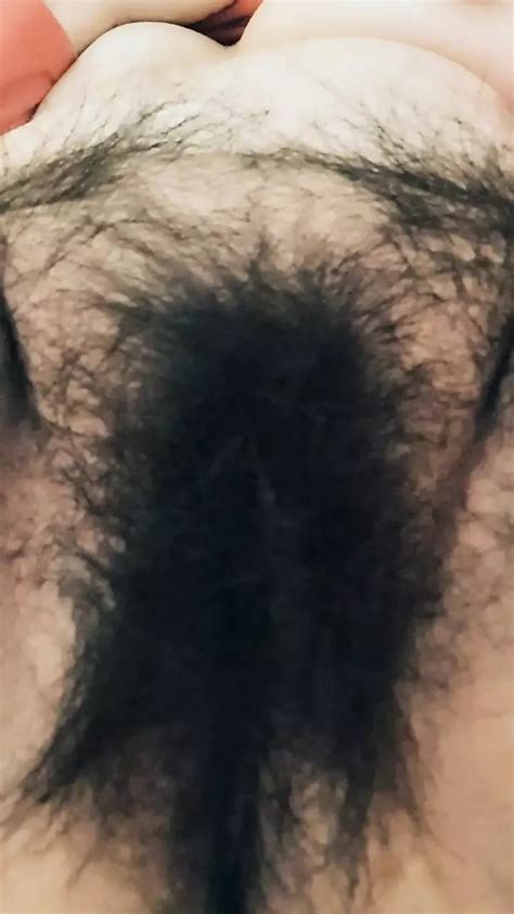 Pussy Hair Trimming Hairy Bush Fetish Amateur Porn XHamster