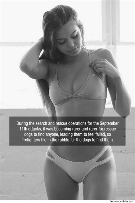 Hot Girls And Interesting Facts Barnorama