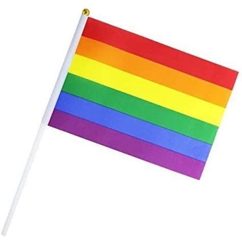 Rainbow Gay Pride Stick Flag Hand Held Mini Flag Lgbt Rainbow Flag Flag Big W