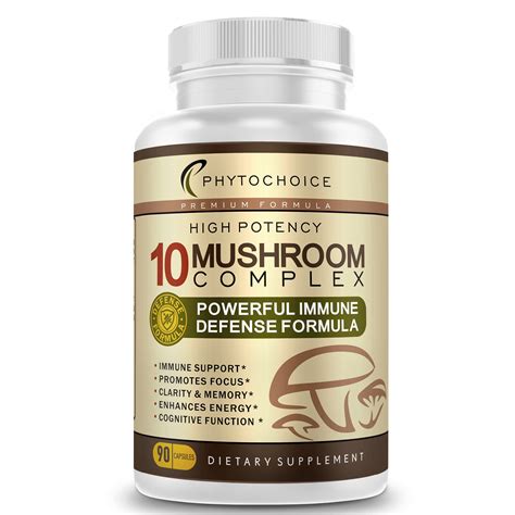 Functional Mushrooms For Focus Are Becoming The Top Office Supplement - RYZE Superfoods