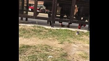 Madura Latina Suelas Sucias XVIDEOS