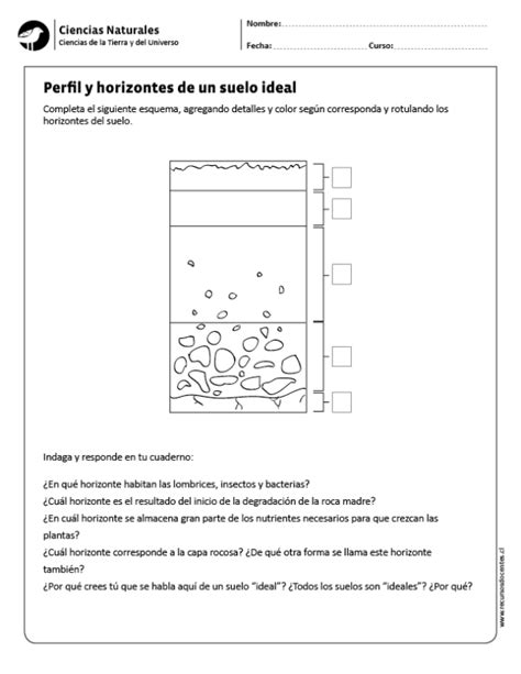 Perfil Y Horizontes De Un Suelo Ideal Ciencias De La Tierra Ciencias