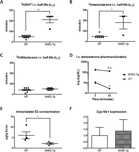 Sex Hormone Binding Globulin Regulation Of Androgen Bioactivity In Vivo