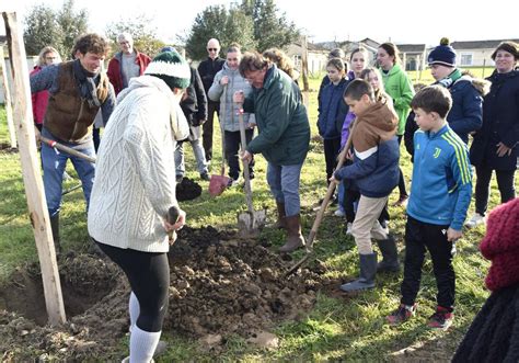 Neuvic Sur Lisle Larbre Lhonneur Le Temps Dun Apr S Midi