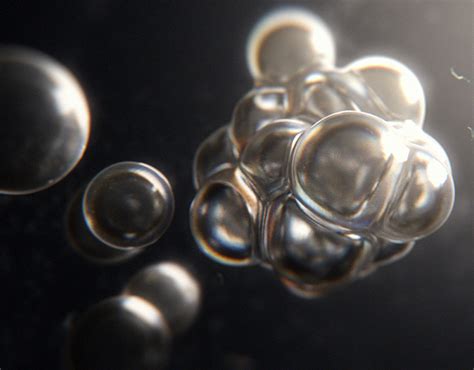 Cordura Fabric | Behance