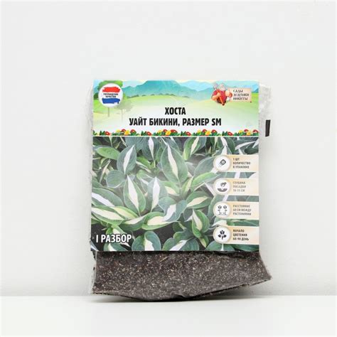 Хоста White Bikini р р I размер SM шт Весна id