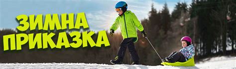 Шейни | ХИПОЛЕНД