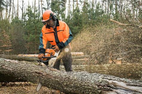 Бензопилы российского производства: обзор, характеристики. Как выбрать ...