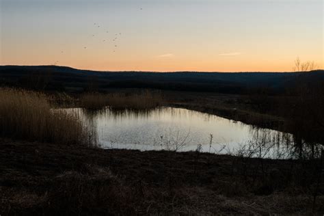 «Галицкий и Галицкий» — официальный сайт винодельни Galitskiy ...