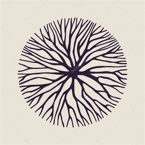 concept tree branch circle shape illustration stock vector image