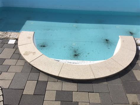 Sanierung Styroporpool 8 0 x 4 0 x 1 5m mit Römertreppe Wagner Pools